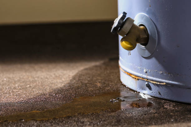 Best Water damage cleanup near me  in La Grange, TX