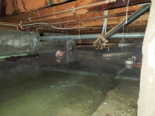  La Grange, TX Water damage restoration Pros