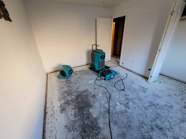 Best Carpet water damage restoration  in La Grange, TX