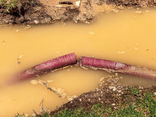 Best Water damage cleanup near me  in La Grange, TX